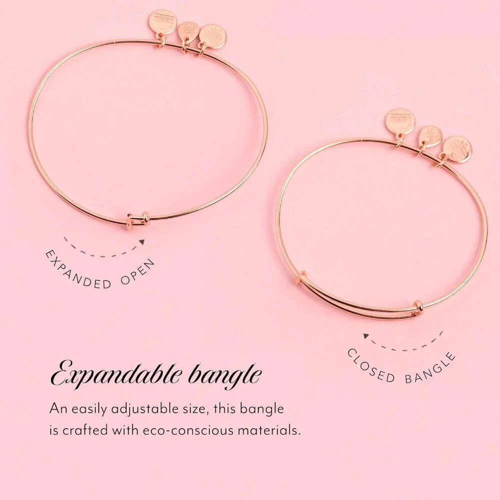 Expandable Bangle Women Crystal Paw Prints Love Charm Rafaelian Finish Adjustabl